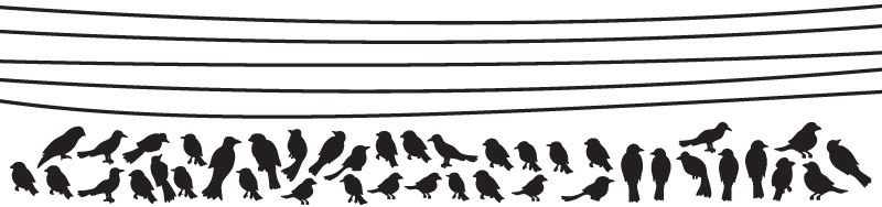 Madarak dróton faltetoválás dekoráció M219 - Image 3